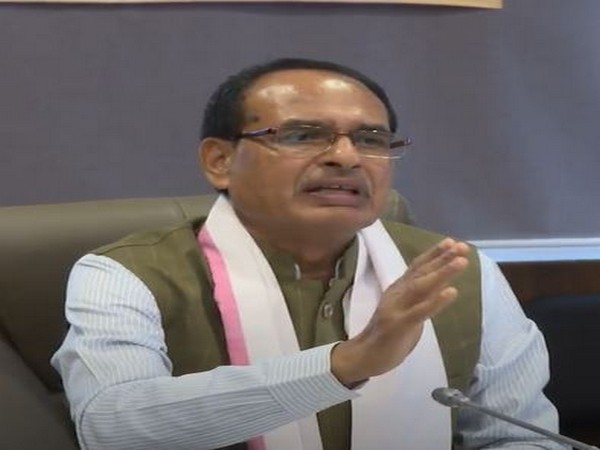 Madhya Pradesh Chief Minister Shivraj Singh Chouhan during a video conference on Saturday.