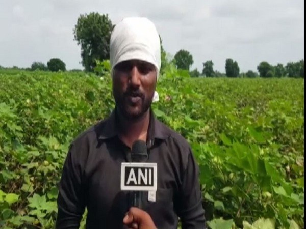 A farmer speaking to ANI in Maharashtra's Dhule district on Sunday. Photo/ANI