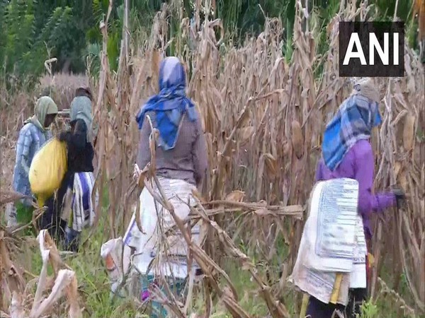 Prasanna, a farmer from Shivamogga talking to ANI on Saturday. Photo/ANI