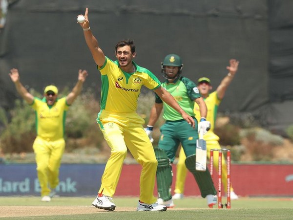 Australia pacer Mitchell Starc appealing for lbw against Janneman Malan. 