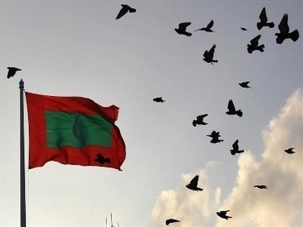 Maldives flag 