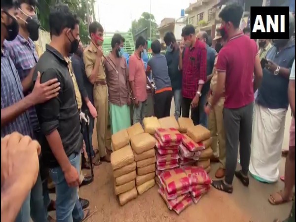 Huge quantity of cannabis was confiscated from Malappuram, Kerala. (Photo/ANI