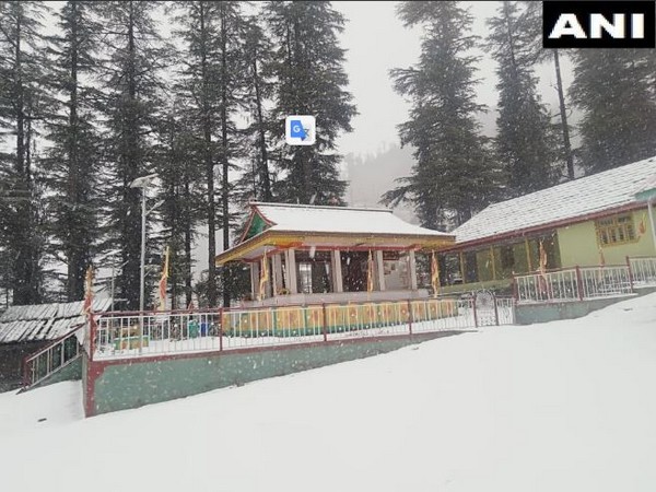 Devidarh area in Himachal Pradesh's Mandi district received snowfall on Saturday. Photo/ANI