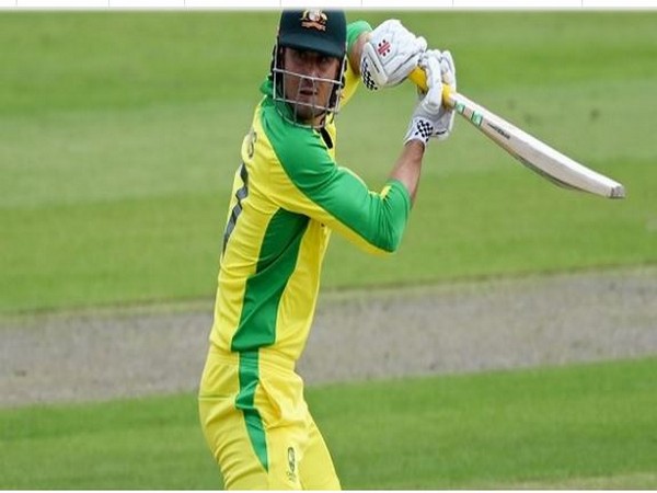 Australia all-rounder Marcus Stoinis (file image)