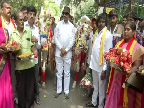 Vatal Nagaraj conducts marraige ceremony of two horses in Bengalur