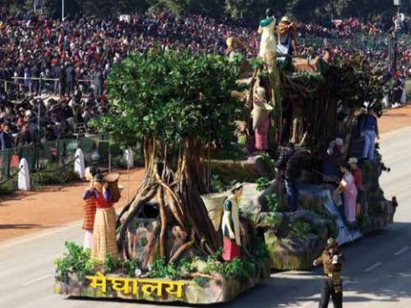 Two-tier living root bridge in Meghalaya