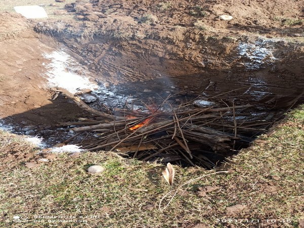 Winter migratory birds found dead in Pong Dam Lake Sanctuary (Photo ANI)