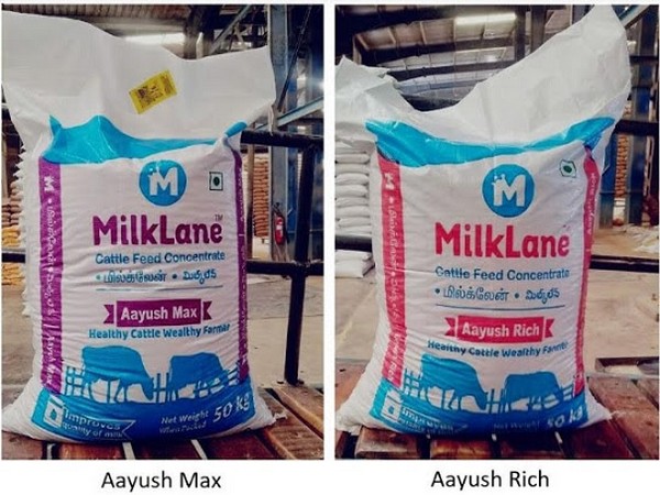 MilkLane - Aayush Max and Aayush Rich