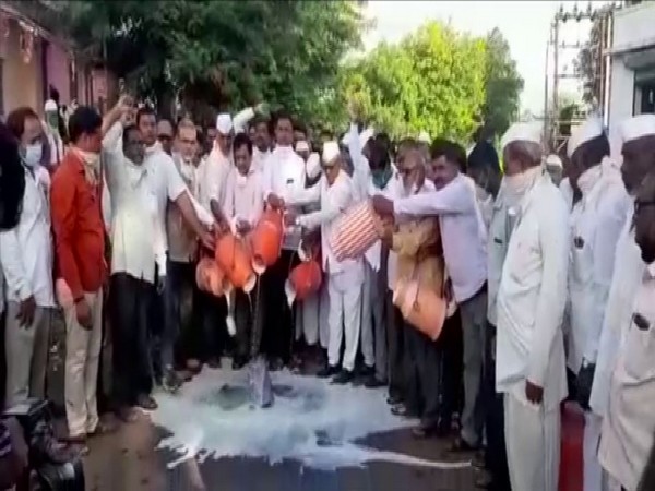 Milk producers in Ahmednagar along with members of AIKS protesting for getting higher prices of milk. (Photo/ANI)