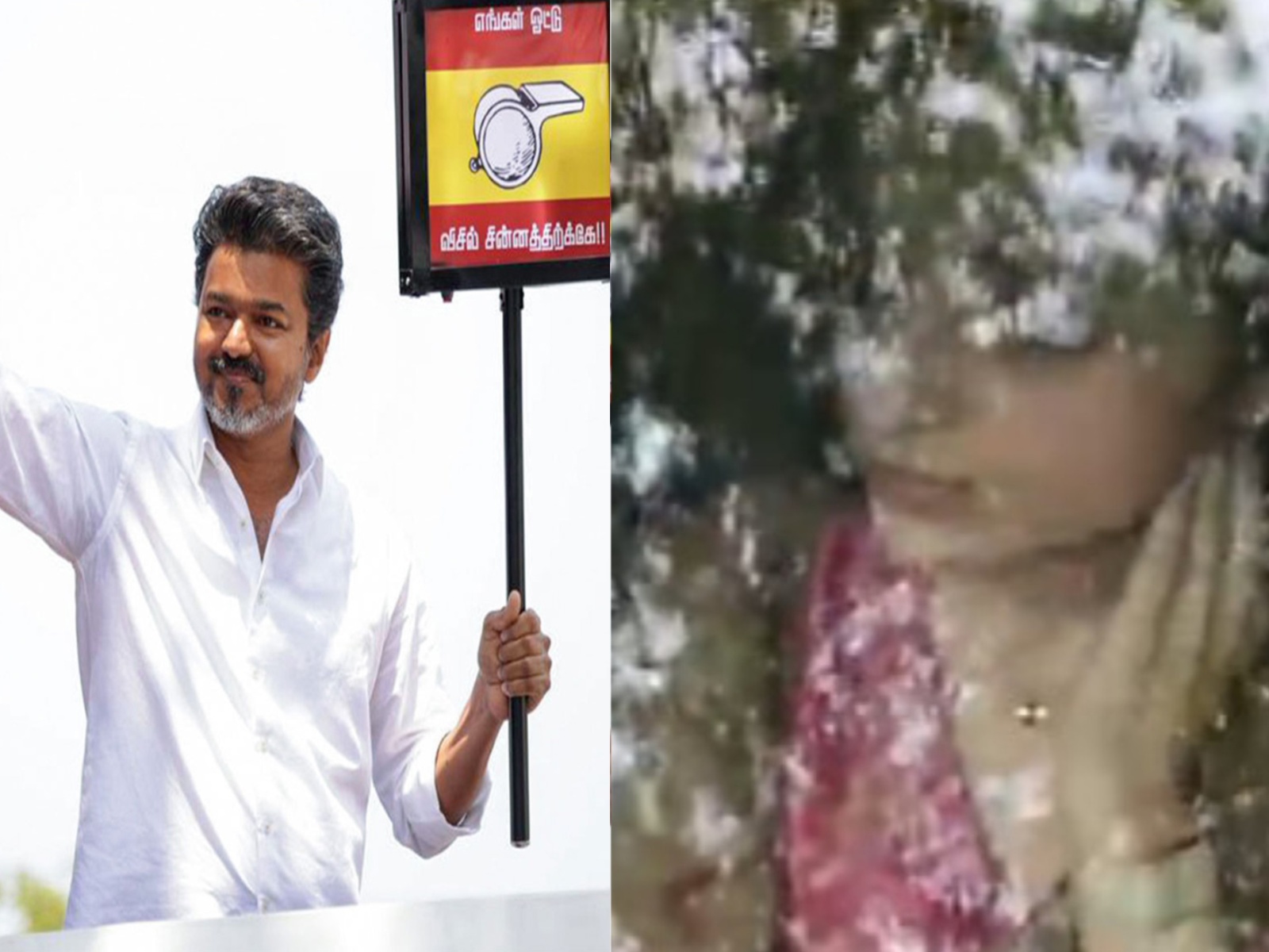 Vijay, Trisha Krishnan (Photo/ANI) Vijay, Trisha Krishnan (Photo/ANI)