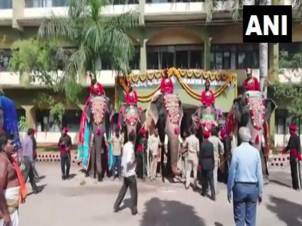 Elephants taking part in Dasara parade reached Mysuru Palace on Monday. Photo/ANI