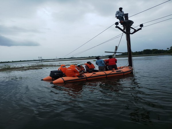 NDRF team during resuce operation amid floods. (Photo/ANI)