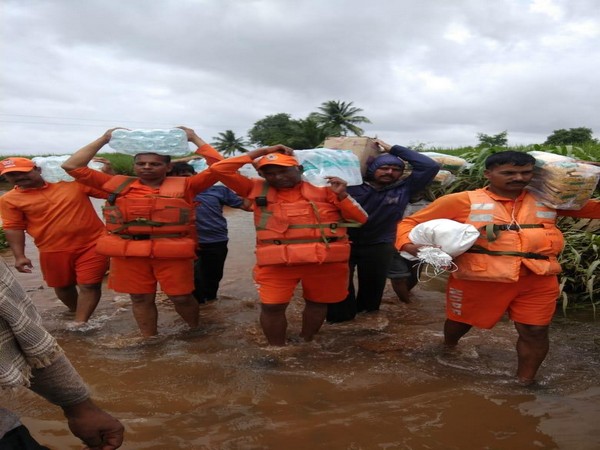 NDRF personnel carrying fodder for animal in Pune division on Tuesday. (Photo/ANI)