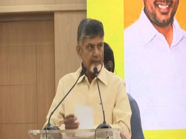 Telugu Desam Party chief N Chandrababu Naidu (File Photo)