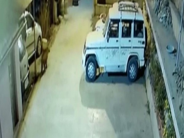 Leopard outside Chandan Singh Adhikari's home in Nainital. [Photo/ANI]
