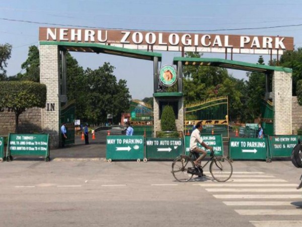 Visual of Nehru Zoological Park (Photo/ANI)