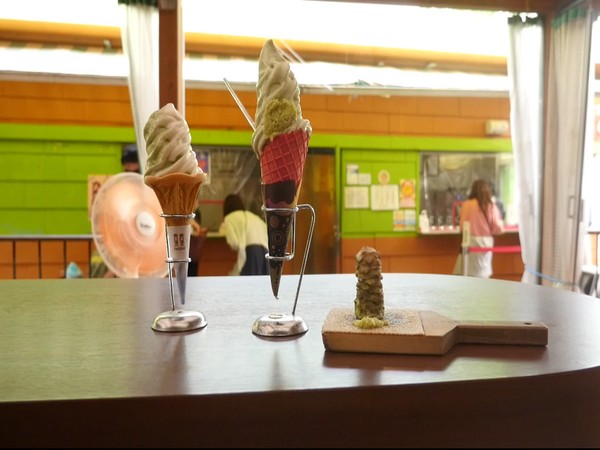 Nissei introduces Wasabi soft ice cream in Japan