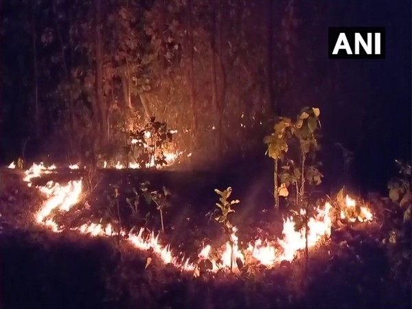 Fire continues to rage in Similipal National Park. 