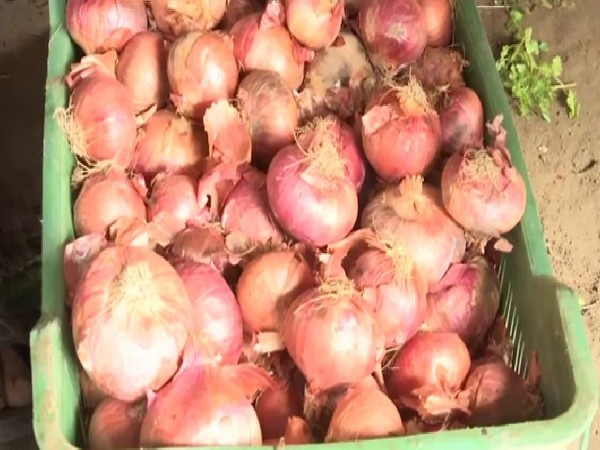 Onion prices range between Rs 55-70 per kg.