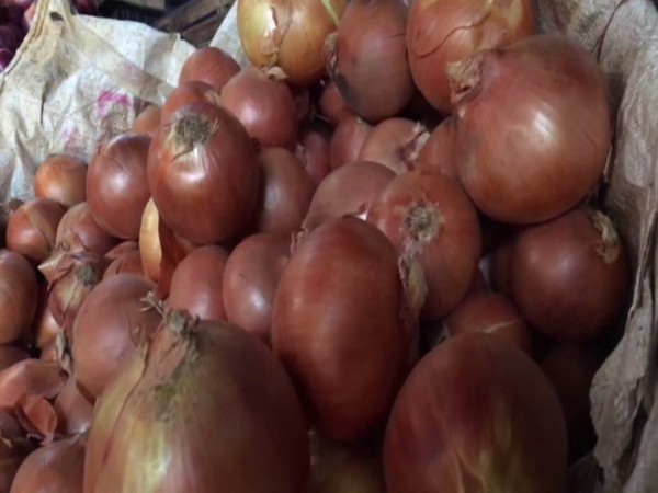 The imported onions weigh around 400-500 grams apiece. Photo/ANI