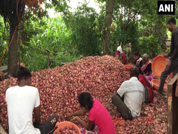 Onion mandi traders in Nashik's Lasalgaon Mandi (Photo/ANI) 