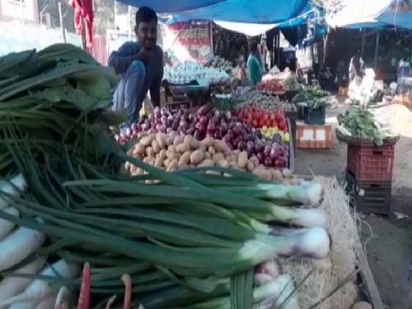Vegetable Market in Prayagraj