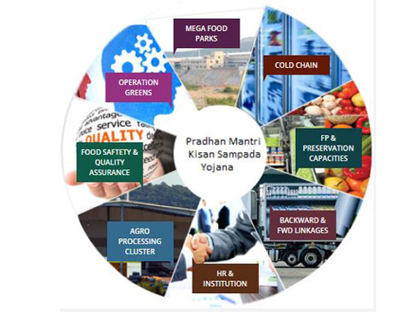 India allows 100 pc FDI under the automatic route in food processing sector