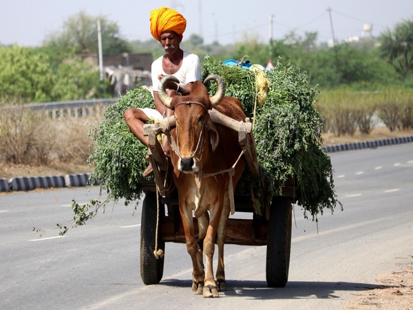 Representative image