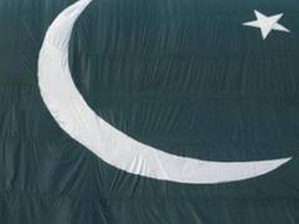 Pakistan flag 