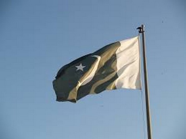 Pakistan flag