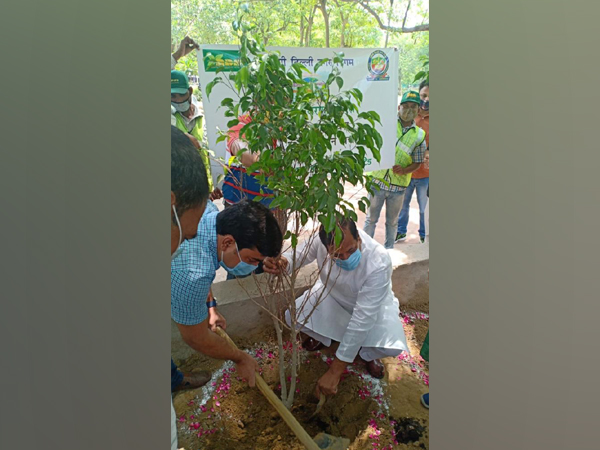 SDMC plants around 2800 trees, shrubs (Image courtesy:  @OfficialSdmc)