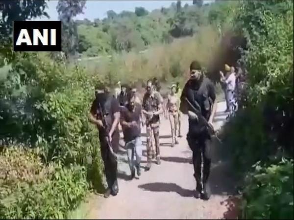 Search operation were conducted in jungles between Pathankot in Punjab and Nurpur in Himachal Pradesh after an alert from the security agencies. Photo/ANI