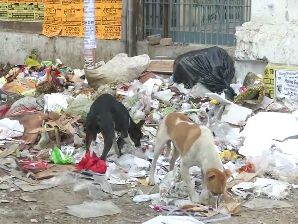 Garbage scattered on the roads of Patna. Photo/ANI