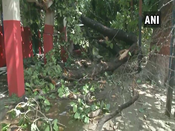 Visual from the spot