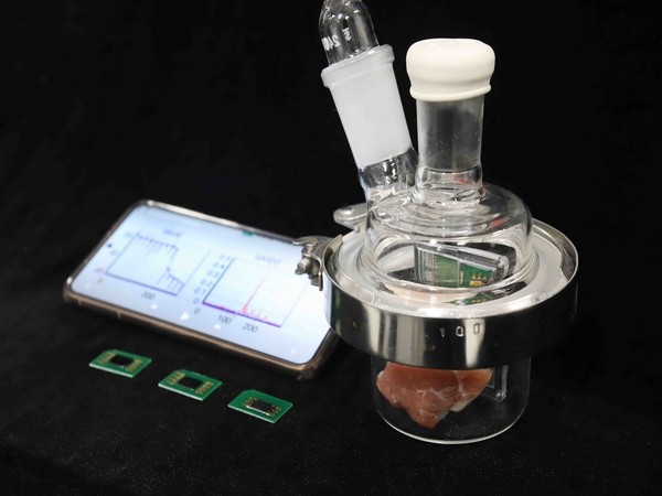 Photo credit: Korea Research Institute of Bioscience and Biotechnology