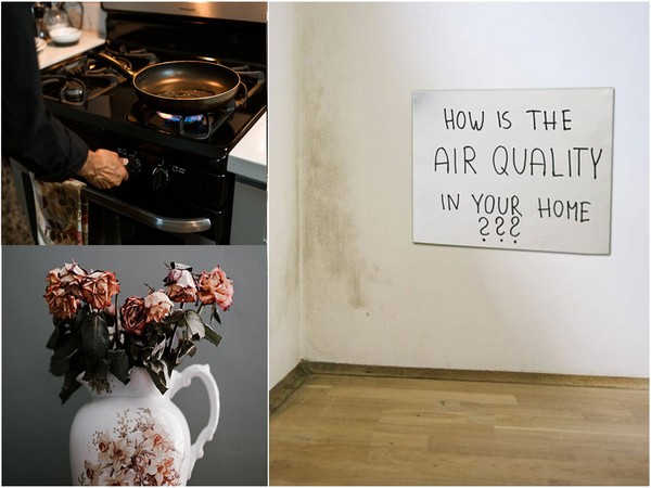 FB FastCool AC's contain 7 separate filters and diffusers for removing all inorganic (PM 0.3-2.5 dust particles) and infusing air with pleasant aroma and Vitamin C.