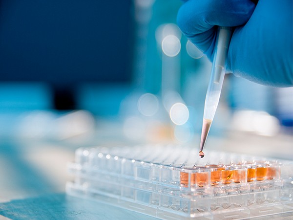 These funds will further strengthen the company's balance sheet