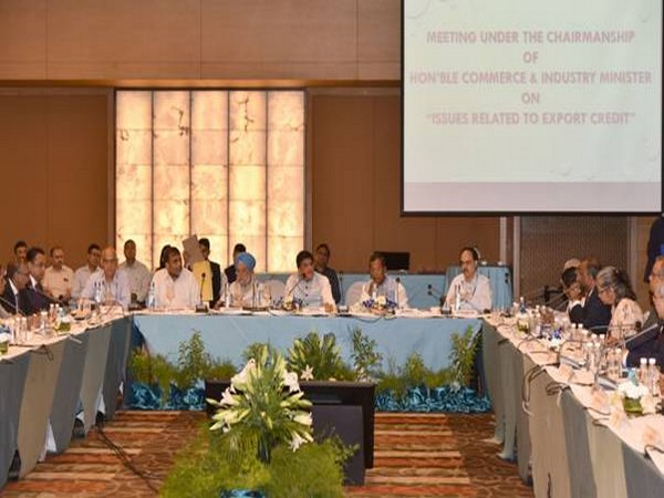 Union Commerce and Industry Minister Piyush Goyal chairing the meeting on issues related to export credit in New Delhi on Friday. Photo/ANI  