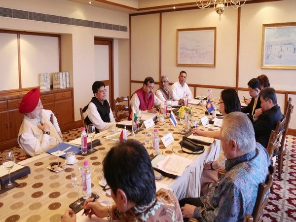 Piyush Goyal during a meeting with his Indonesian counterparts in New Delhi on Tuesday  