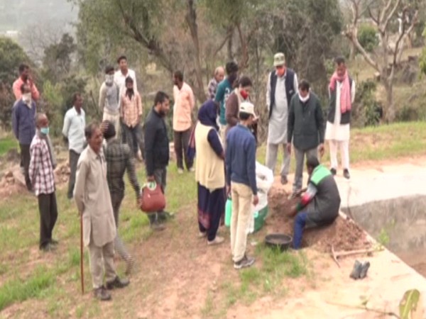 A plantation drive was conducted here at Prowar Jagir watershed area by the Integrated Water Management Programme (IWMP).