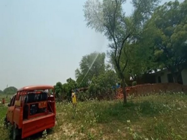 Chemicals being sprayed to kill locusts in Prayagraj. Photo/ANI