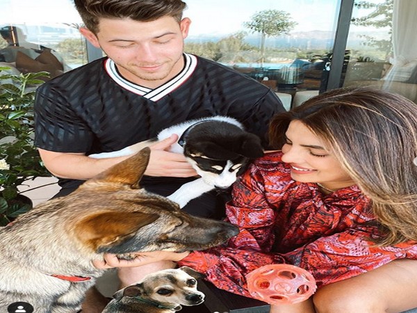 Actor Priyanka Chopra with husband Nick Jonas and their pets (Image source: Instagram) 