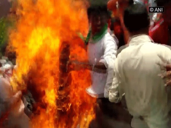 BJP workers burning the effigy during protest. Photo/ANI