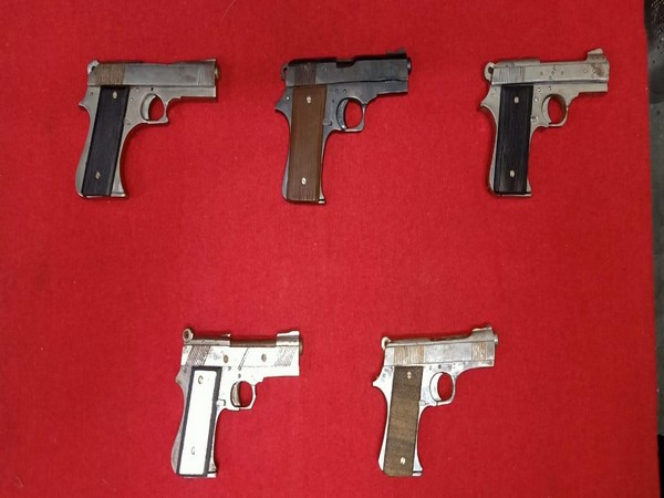 Country made pistols recovered from the accused