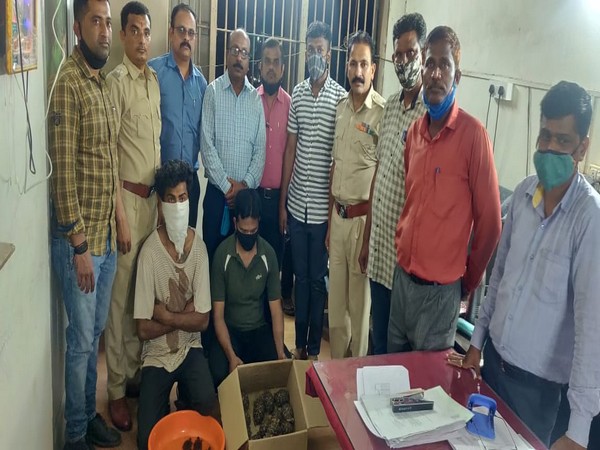 Forest department of Pune arrests two people involved in smuggling of tortoises and turtles (Photo ANI)