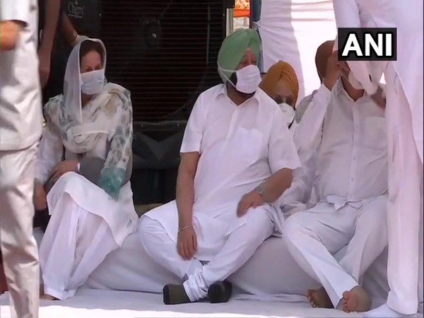 Punjab CM Amarinder Singh held protest against Farm Laws on Monday. Photo/ANI