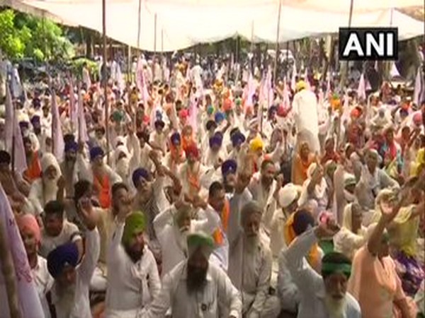Farmers at a protest against the Central government in Amritsar on Monday. [Photo/ANI]