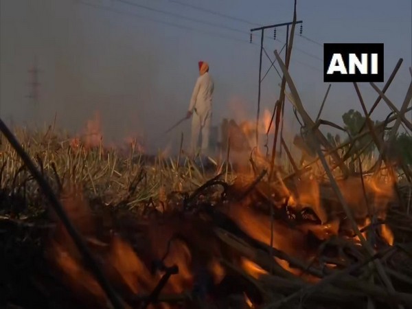 A visual of Punjab farmer in Chatiwind village burning the farm residue