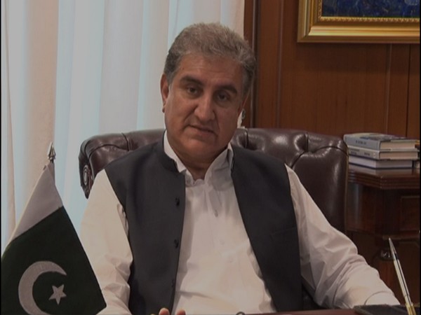 Pakistan Foreign Minister Shah Mahmood Qureshi (File photo)