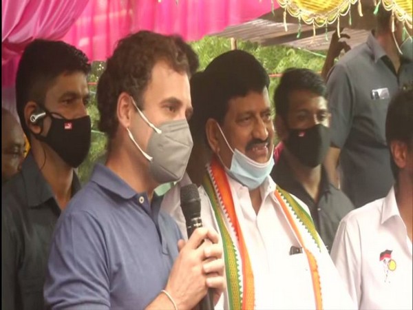 Congress leader Rahul Gandhi in Mumbai (Photo/ANI)